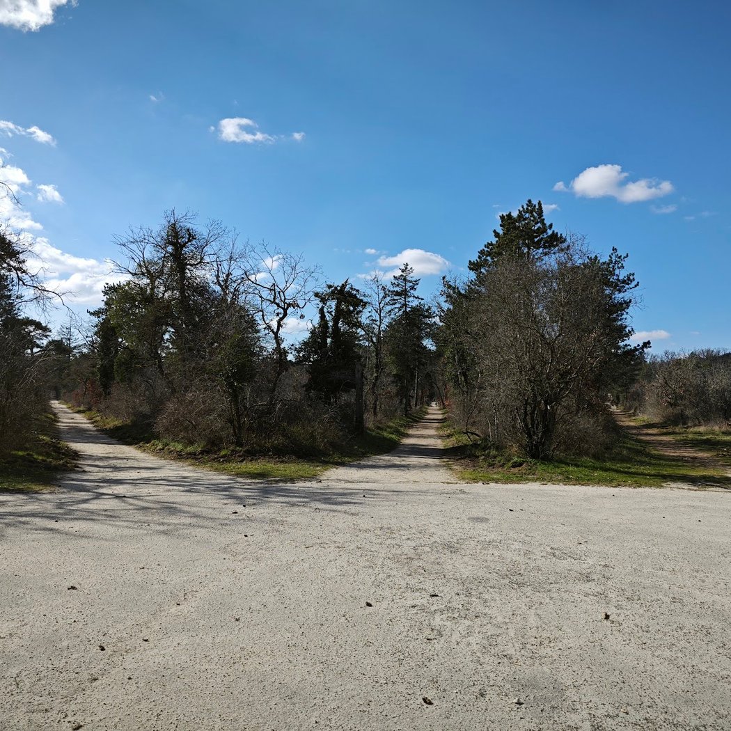 Forrest of Fontainbleu - start of route blue 2